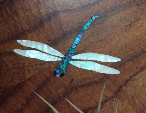 Dragonfly Detail